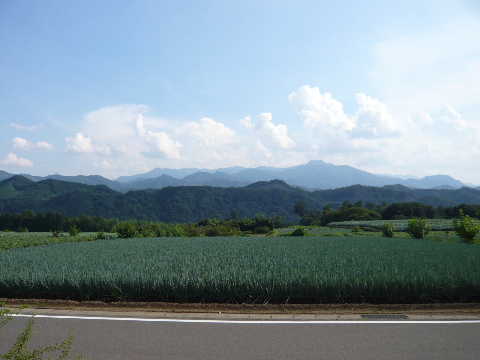 View. Gunma of nature has spread to the front of the eye!