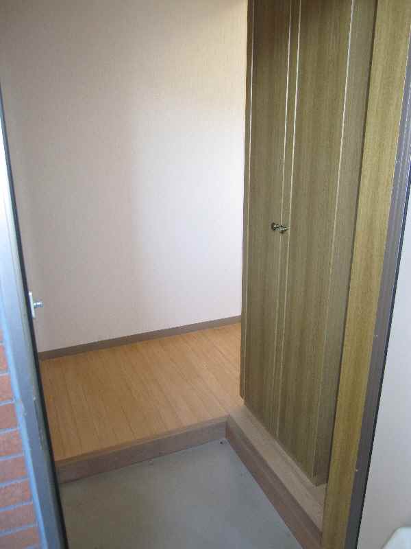 Entrance. The amount of storage is rich shoe box. 