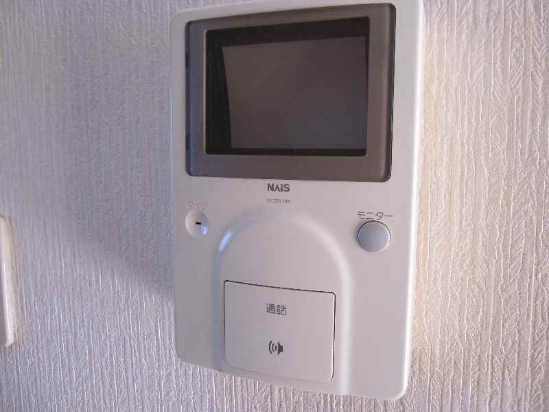 Security. TV is a monitor with intercom. 