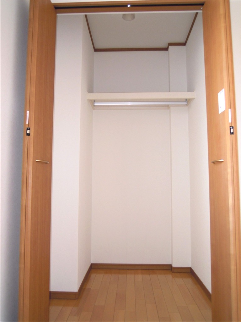 Receipt. Walk-in closet. With lighting. 