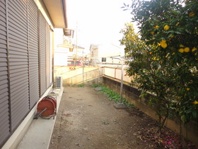 Other. It comes with a garden