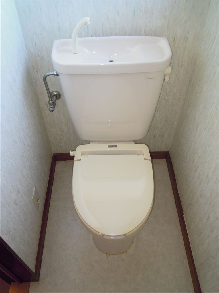 Toilet. Window with toilet.