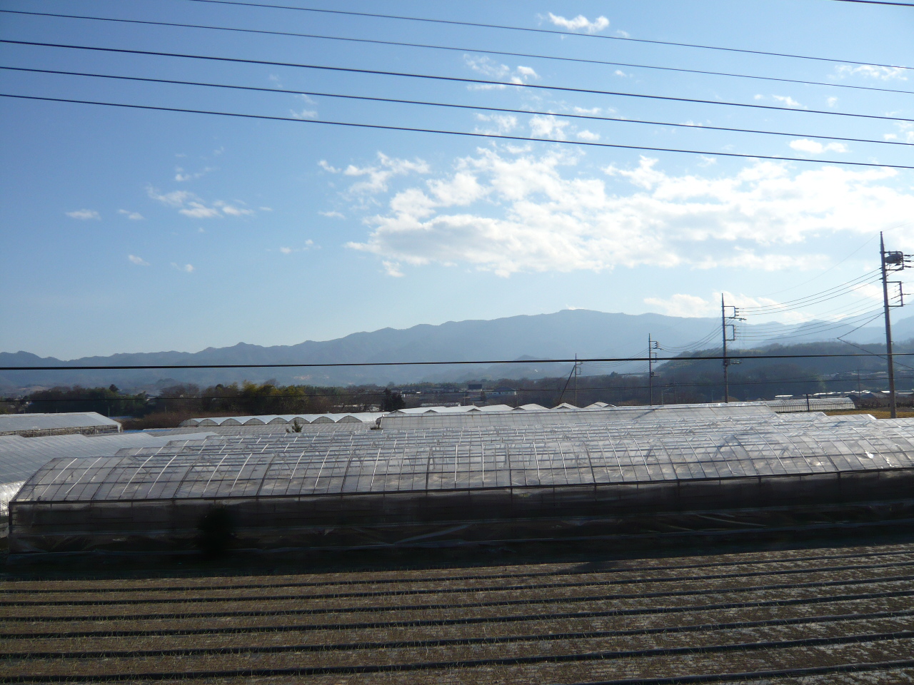 View. Rich view of nature that spread in front of the eye