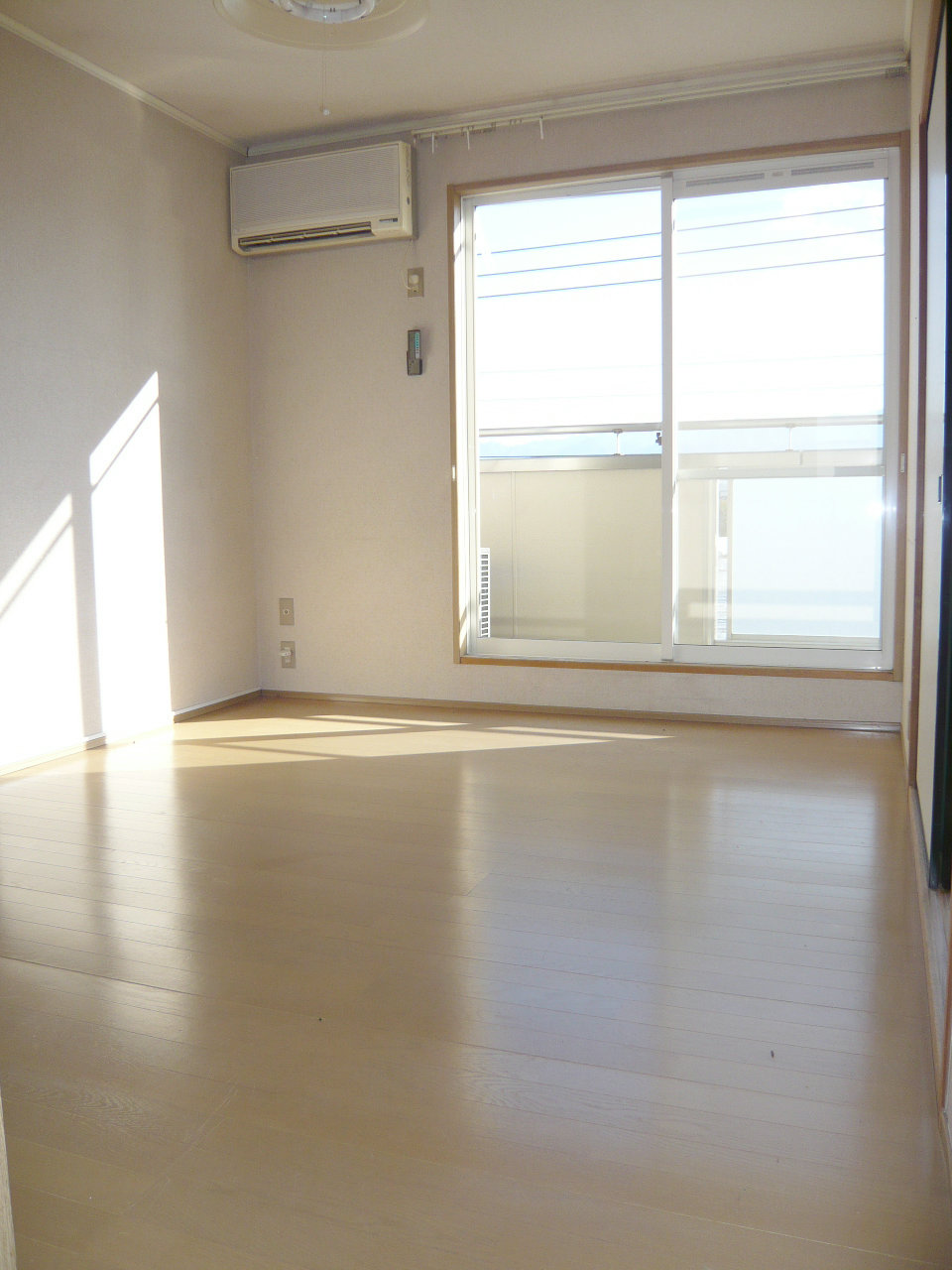 Living and room. Sunny bright living. It is healthy.