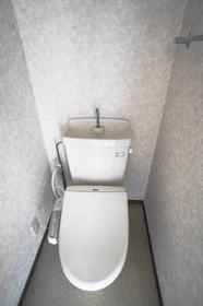 Toilet. It comes with a bidet