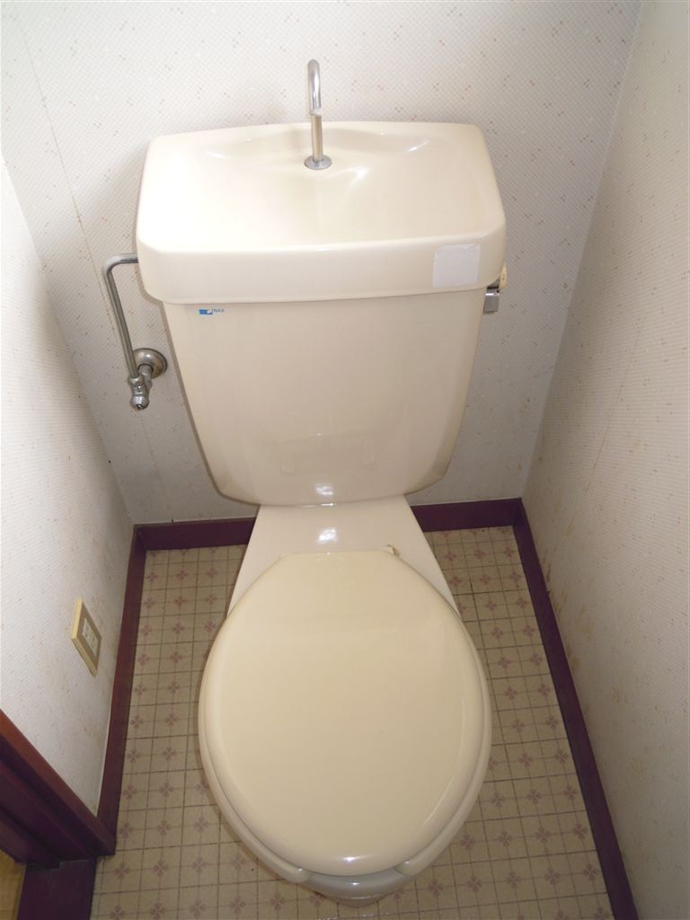 Toilet. Bright toilet with a window