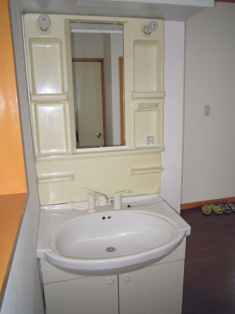 Washroom. Washbasin with shower.