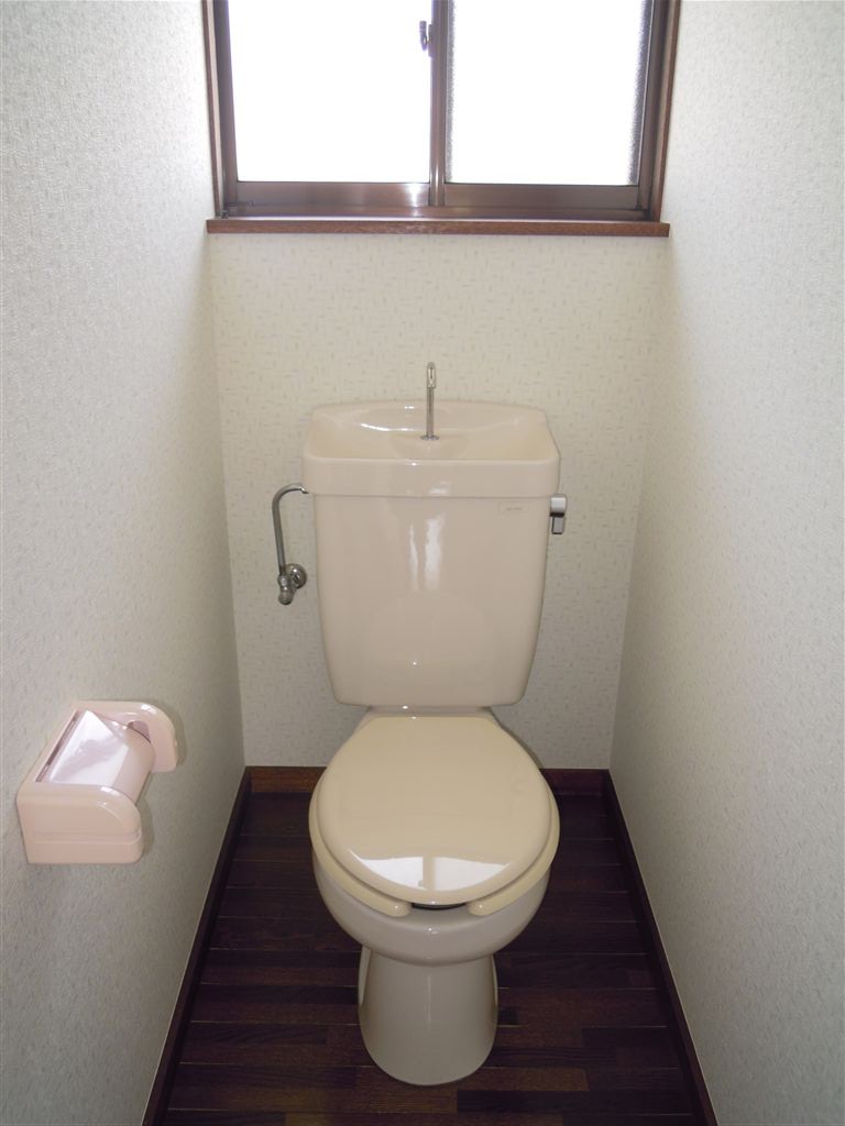 Toilet. Bright toilet with a window