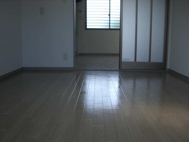 Living and room. Living