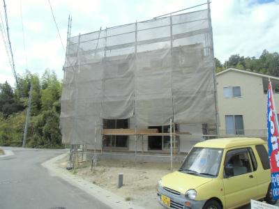 Local photos, including front road