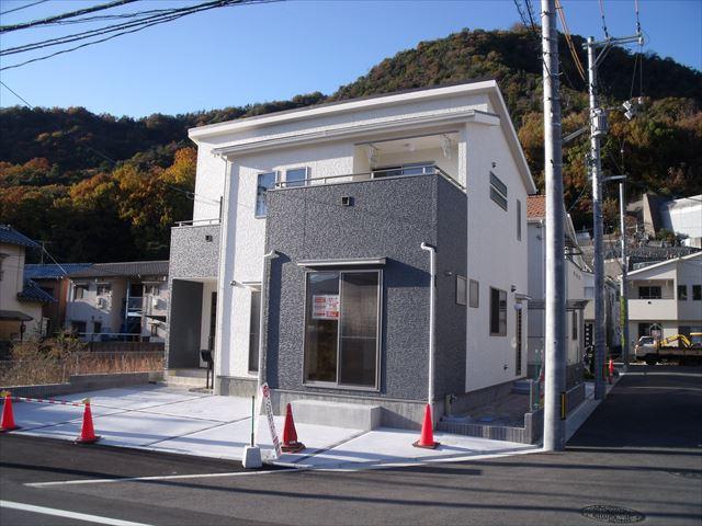 Local photos, including front road