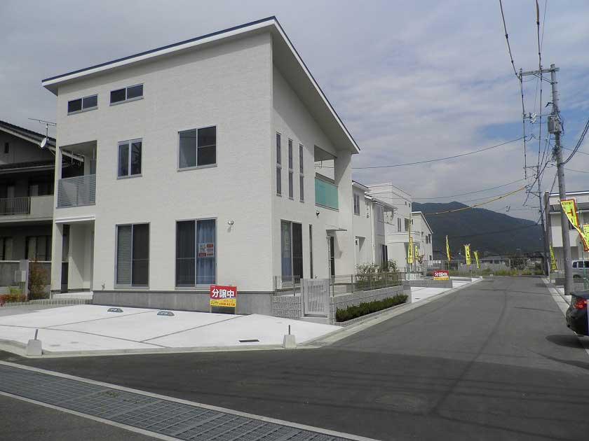 Local photos, including front road