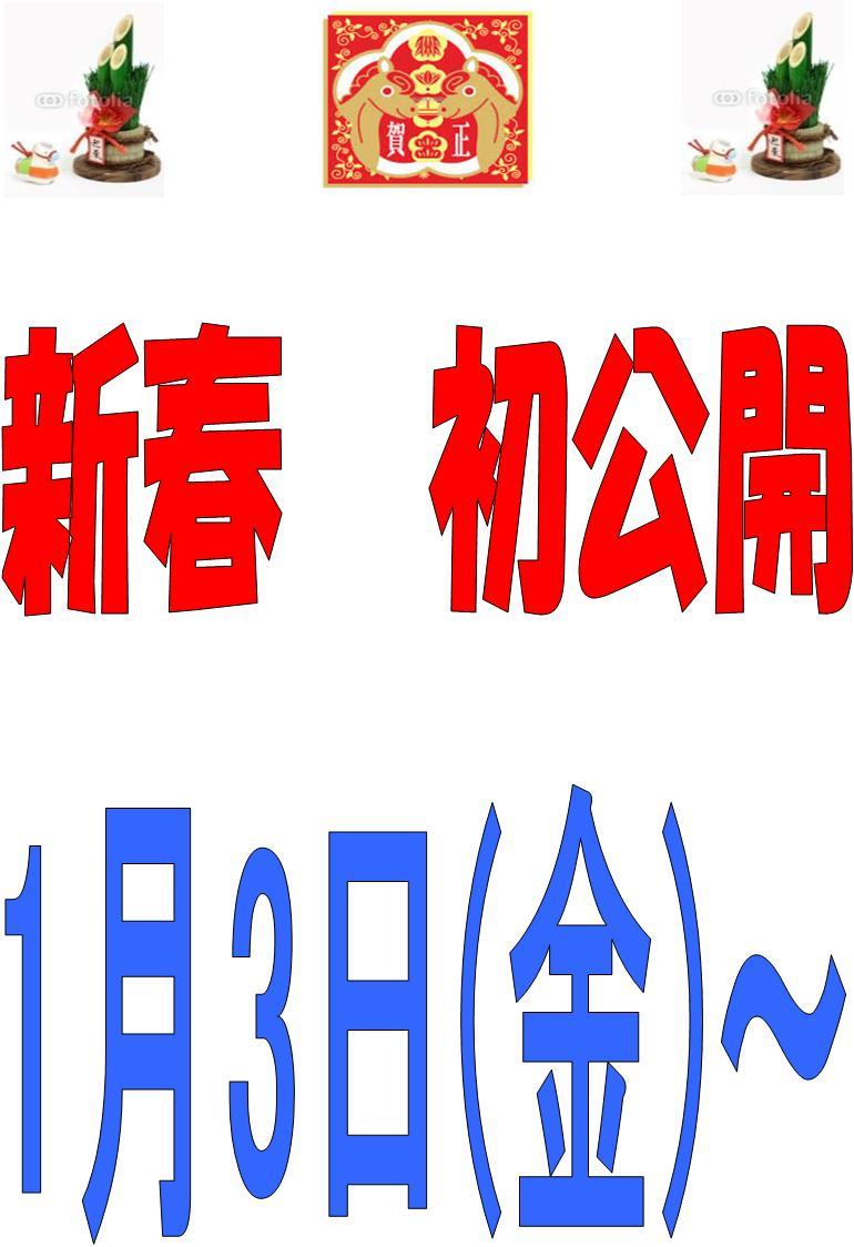 Other. New Year will be published from January 3 (gold)!