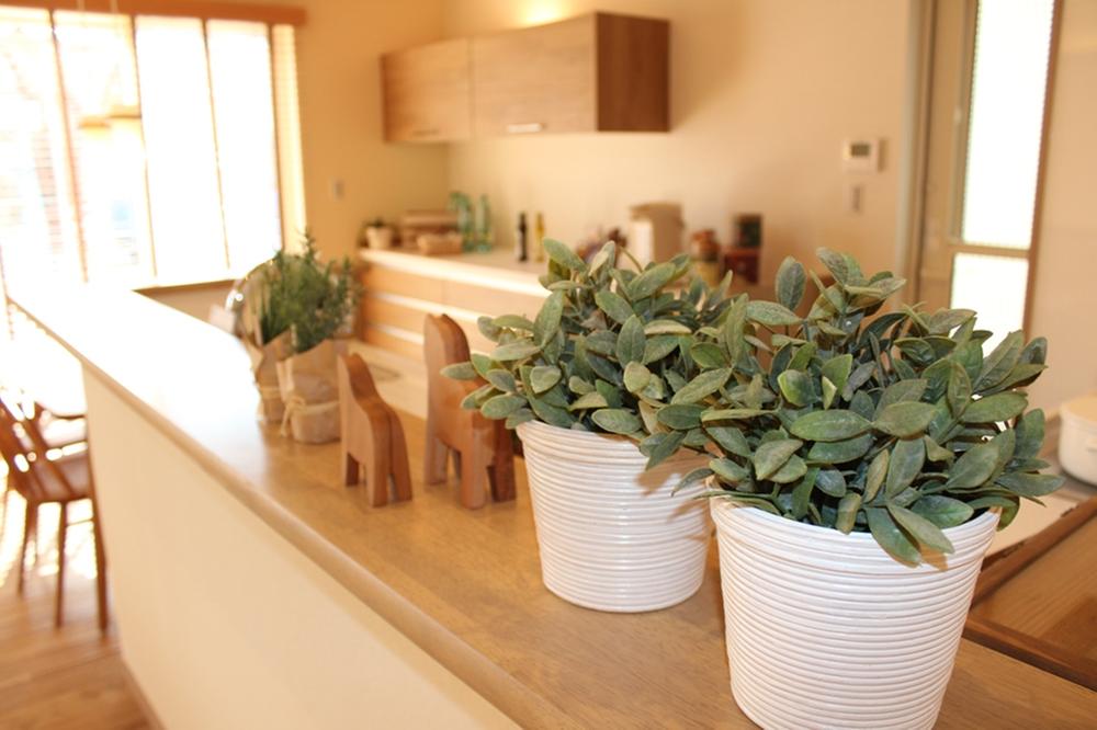 Other introspection. Green shine in woody feeling full of interior