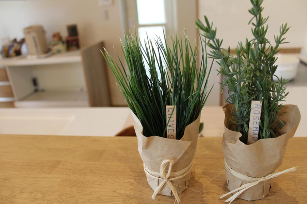 Other introspection. Cute herbs of life spice