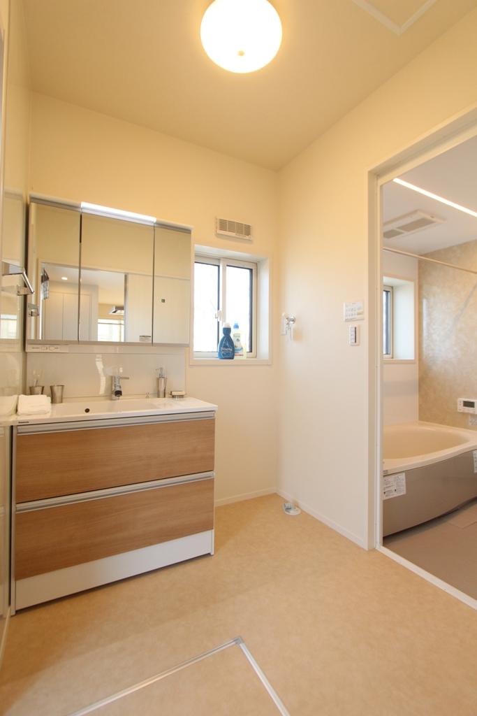 Wash basin, toilet. Panasonic basin of woodgrain. 