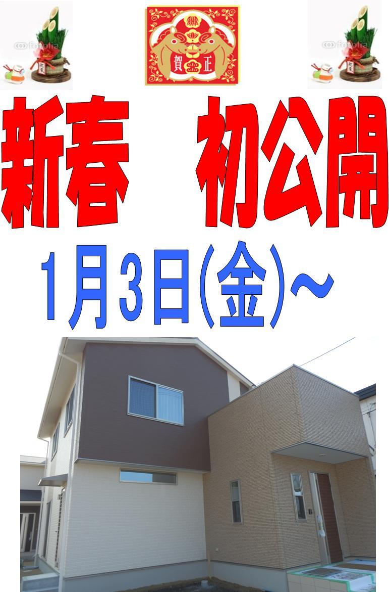 Local appearance photo. New Year January 3, 2014 (Friday) ~ This is the first public. 