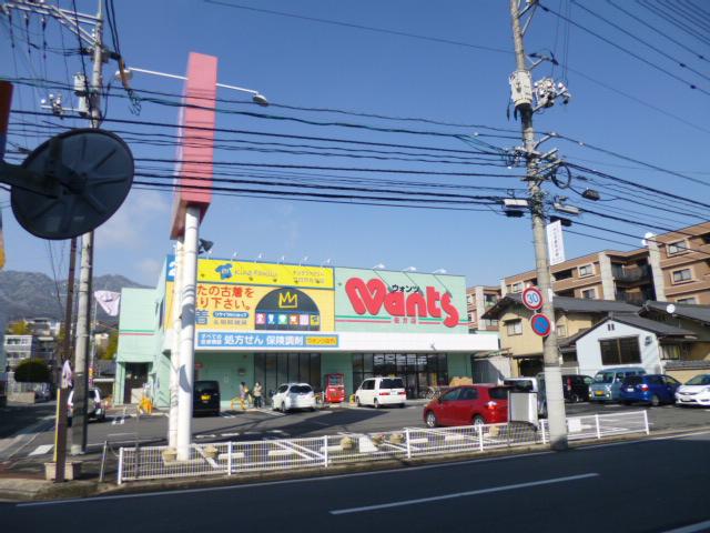 Drug store. Hearty Wants to Sagata shop 230m