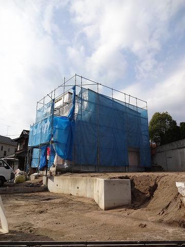 Other local. 2013.12.11 shooting