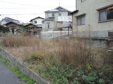 Local appearance photo. December 24 shooting