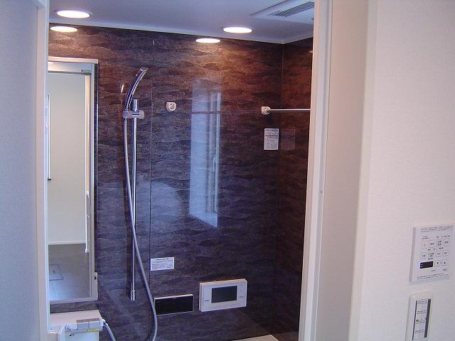 Bathroom. Indoor (11 May 2013) Shooting