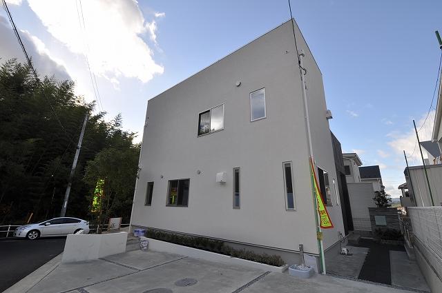 Local appearance photo. Stylish appearance! 