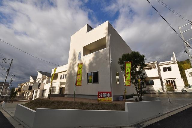 Local appearance photo. Local (11 May 2013) Shooting