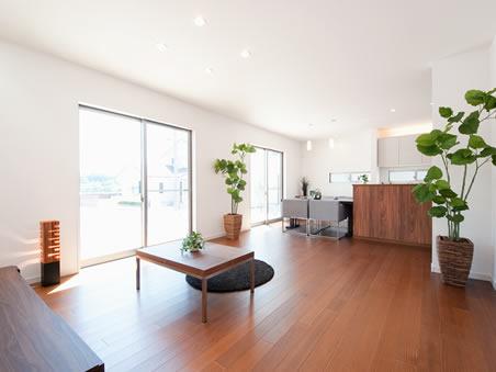 Living. No. 20 place