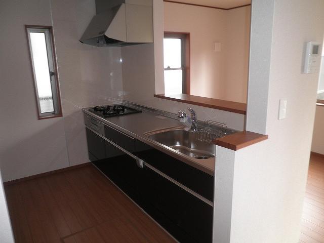 Kitchen. Indoor (11 May 2013) Shooting