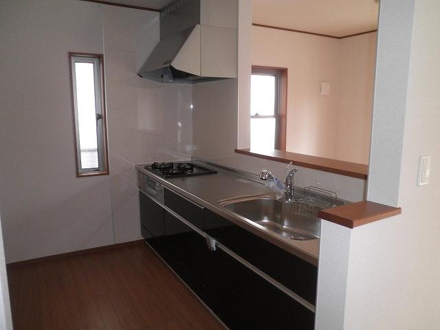 Kitchen. Indoor (12 May 2013) Shooting