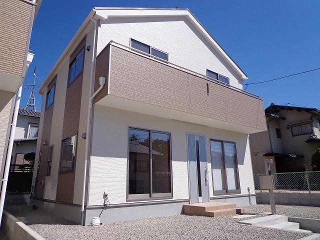 Local appearance photo. Friendly appearance of beige. 