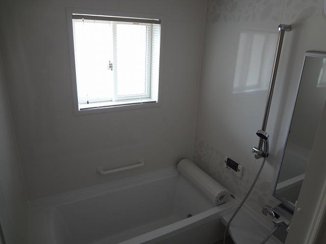 Bathroom. Indoor (February 2013) Shooting