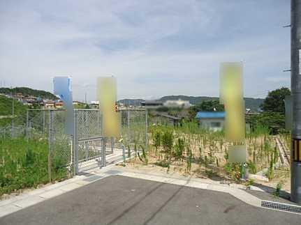 Local photos, including front road