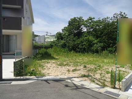 Local photos, including front road