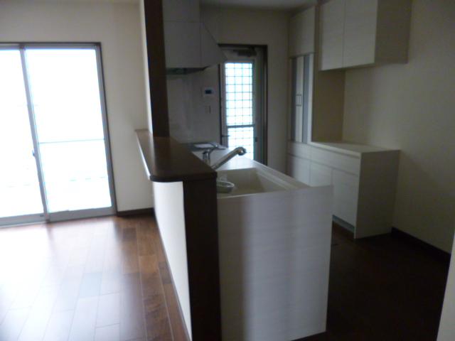 Kitchen. Indoor (11 May 2013) Shooting