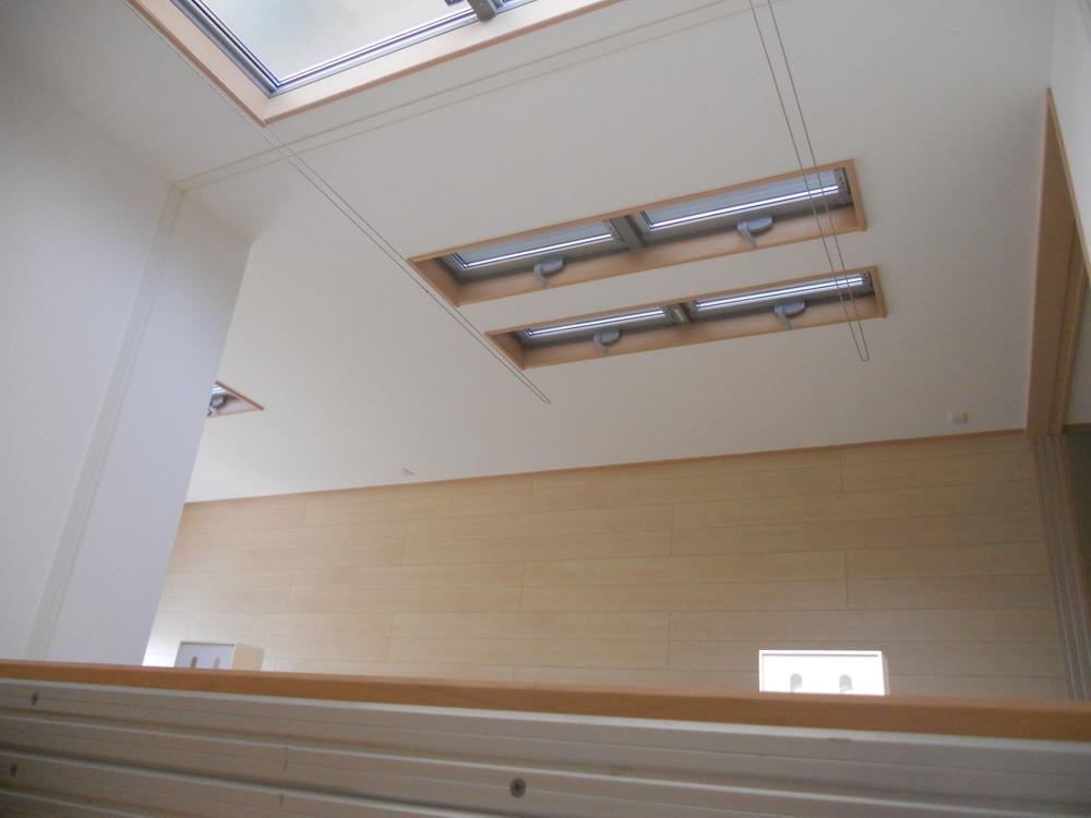 Other. It is a blow-by of living