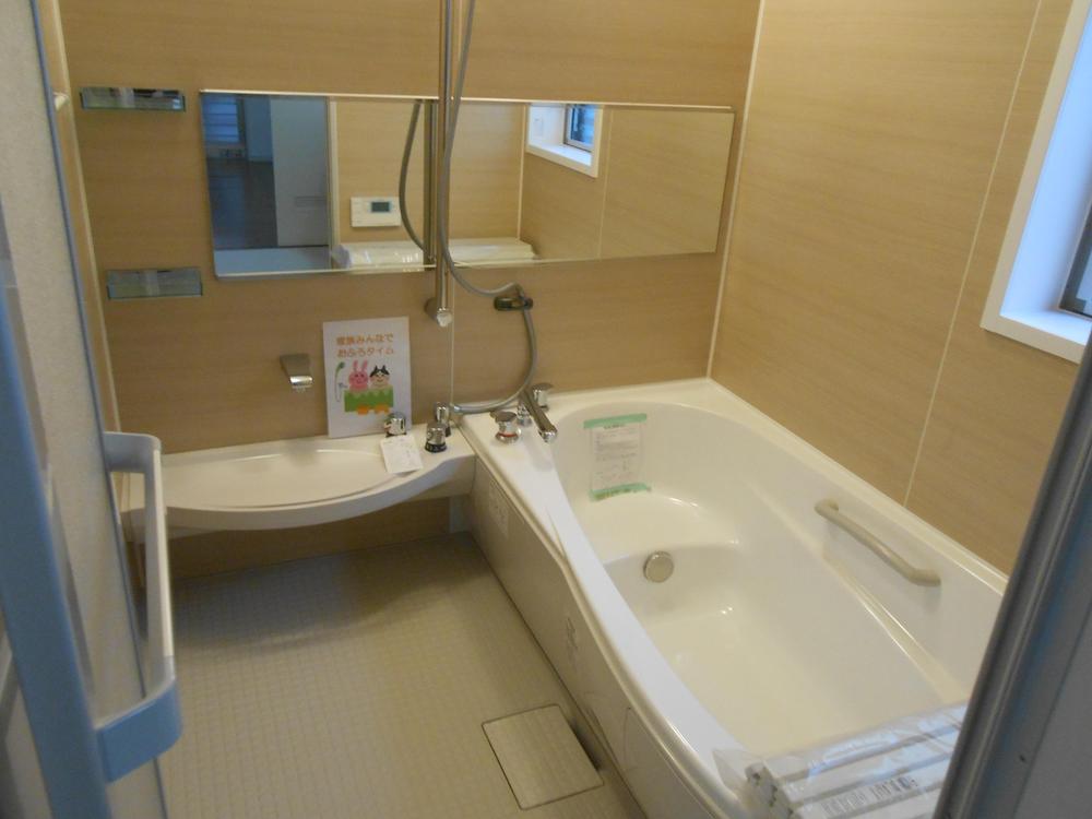 Wash basin, toilet. (November 2013) Shooting