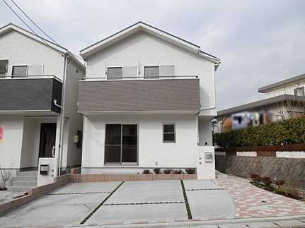 Local appearance photo. Local (January 2013) Shooting