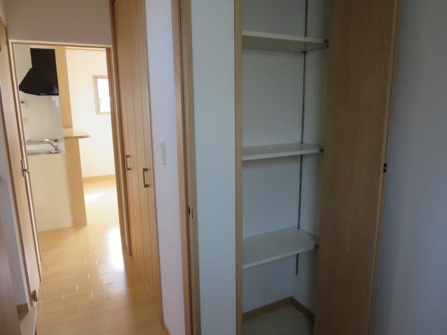 Wash basin, toilet. There is glad storage shelves in the dressing room.