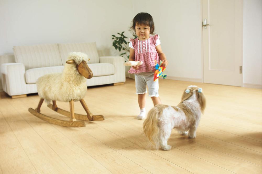 Other Equipment. Easy dirt falls, Strong floor material to scratches and dents. Safely in families with small children and pets