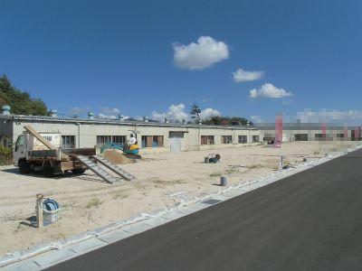 Local photos, including front road