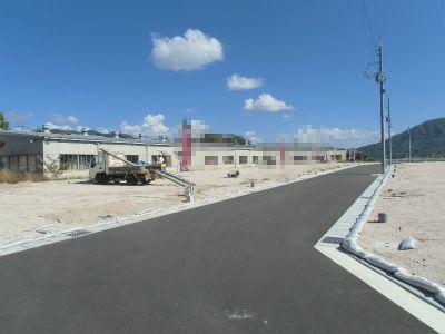 Local photos, including front road