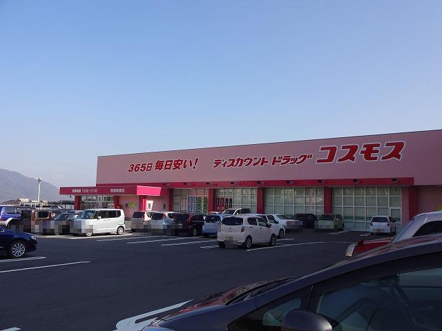 Drug store. 1171m to discount drag cosmos westerly Xindu shop