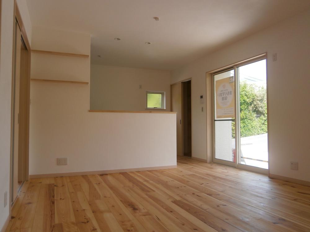 Living. Indoor (April 2013) Shooting