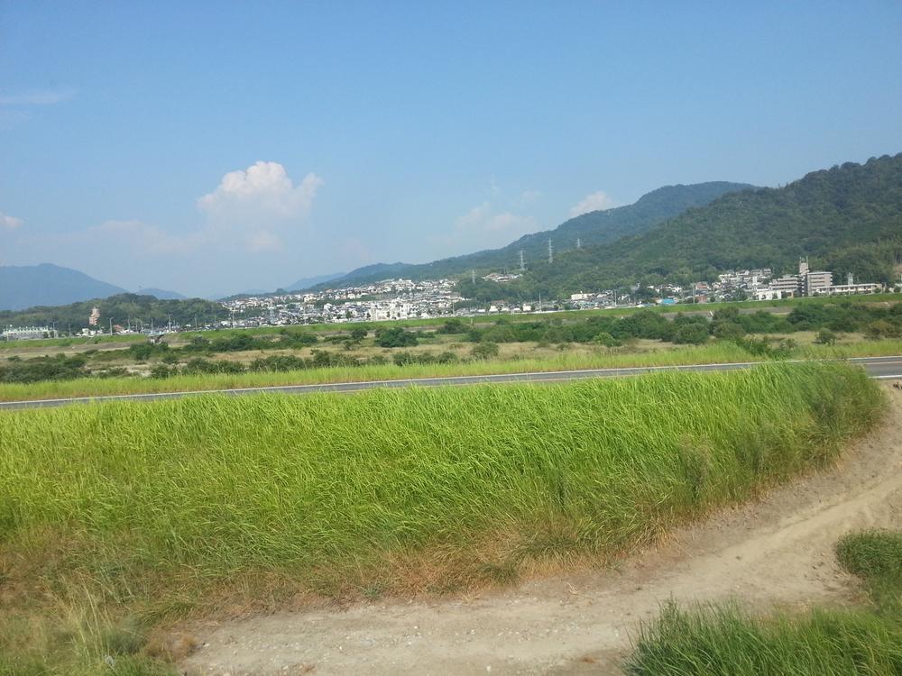 Other. Local (August 2013) Shooting