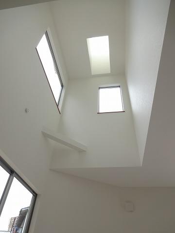 Other introspection. Plug the natural light from the skylight