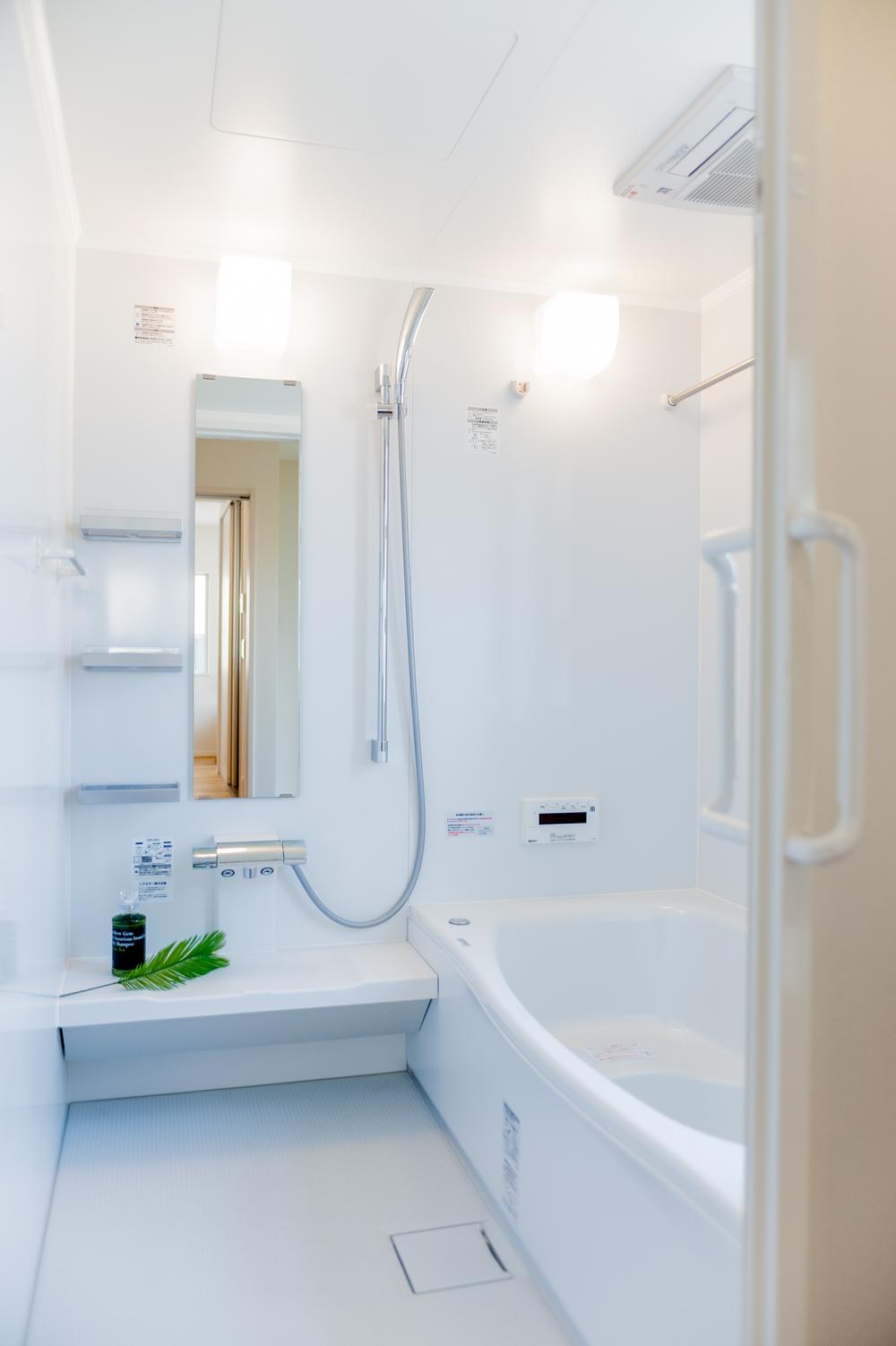 Bathroom. Indoor (April 2012) shooting