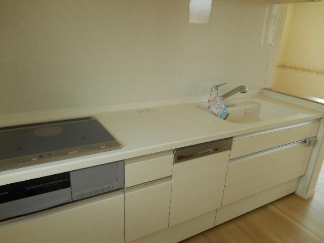 Kitchen. Indoor (July 2013) Shooting