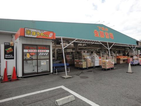 Other Environmental Photo. 723m to the bottom Midorii fresh fish market