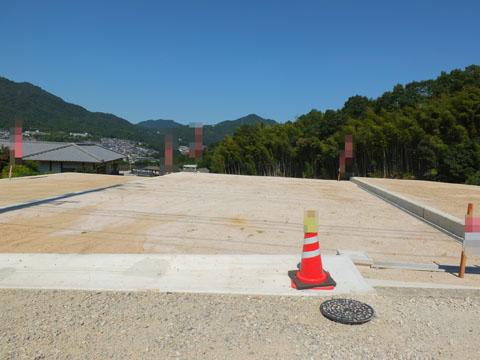 Local appearance photo. November 19, shooting